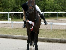 208943_10150929586983585_115258386_n_web